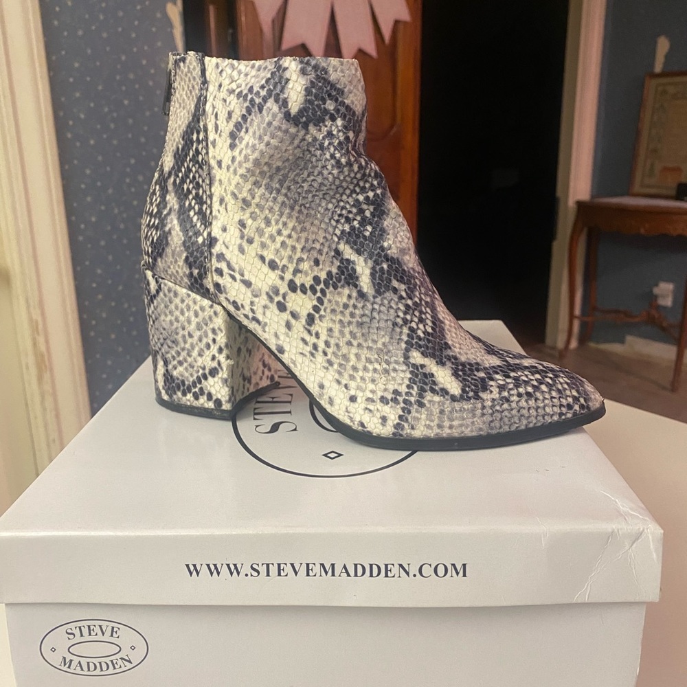 ‘Jillian’ snake Steve Madden booties